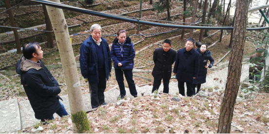 李世国一行先后到霍邱县保珍白鹅养殖科技有限公司,安徽安业农业科技