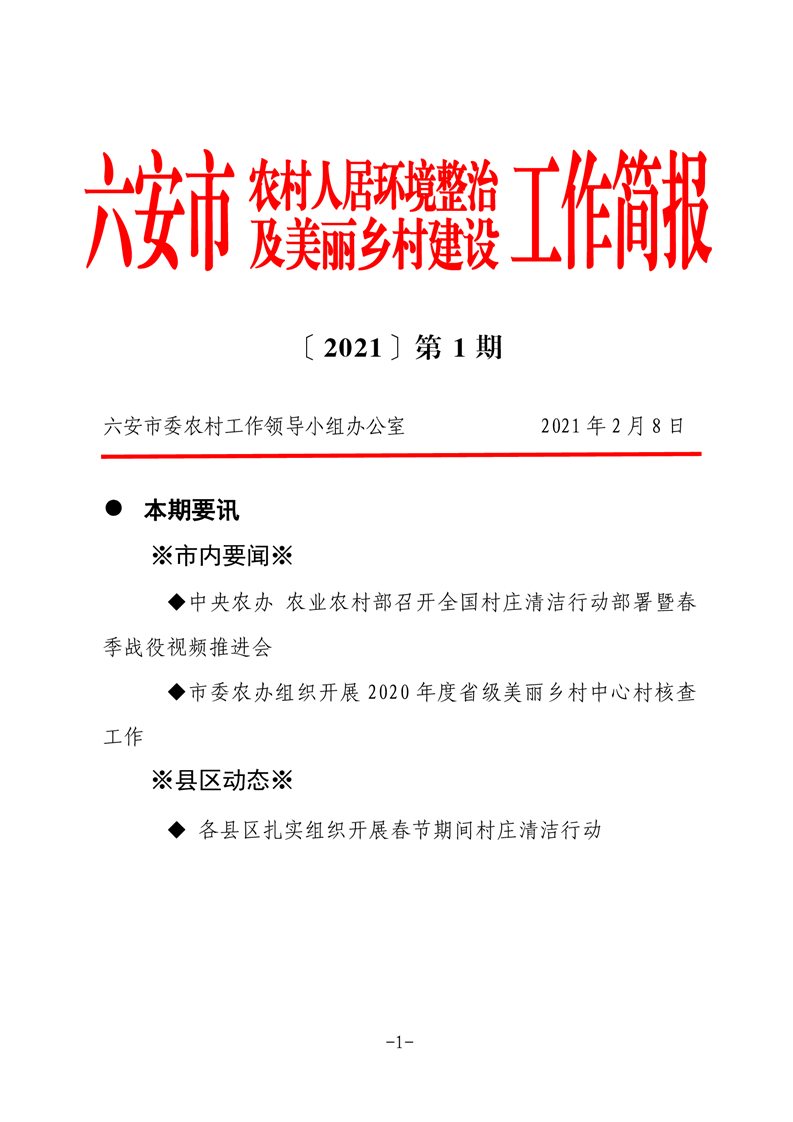 六安市农村人居环境整治工作简报第一期