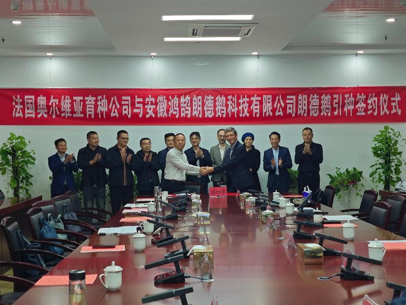 法国奥尔维亚育种集团公司赴霍邱考察并签约朗德鹅引种合作项目
